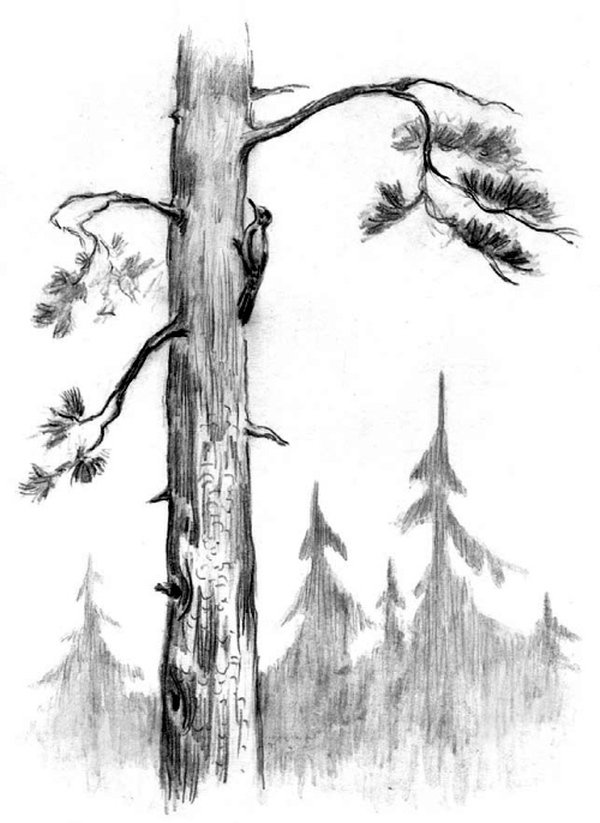 Рассказы и сказки(сборник) - i_028.jpg