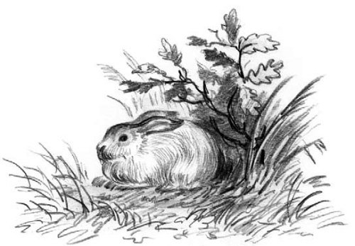 Рассказы и сказки(сборник) - i_030.jpg