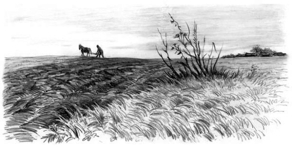 Рассказы и сказки(сборник) - i_034.jpg