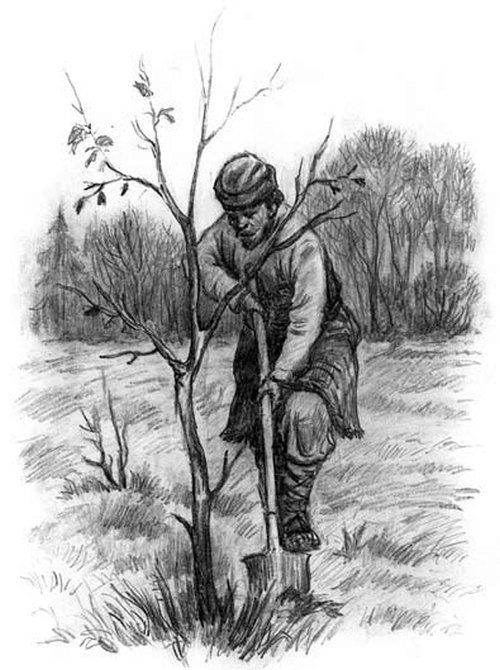 Рассказы и сказки(сборник) - i_036.jpg