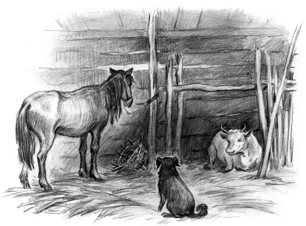 Рассказы и сказки(сборник) - i_037.jpg