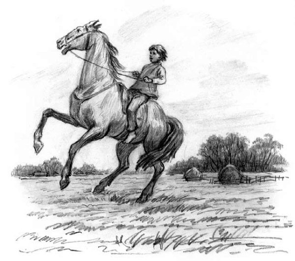 Рассказы и сказки(сборник) - i_038.jpg