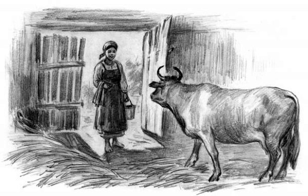 Рассказы и сказки(сборник) - i_039.jpg