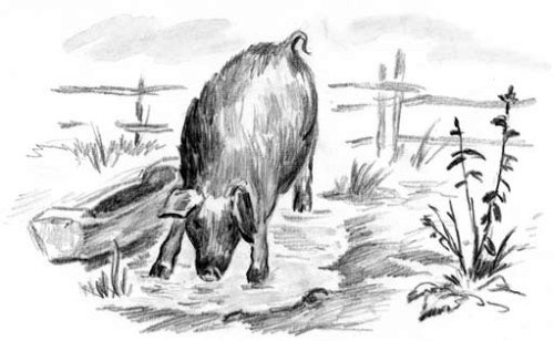 Рассказы и сказки(сборник) - i_040.jpg