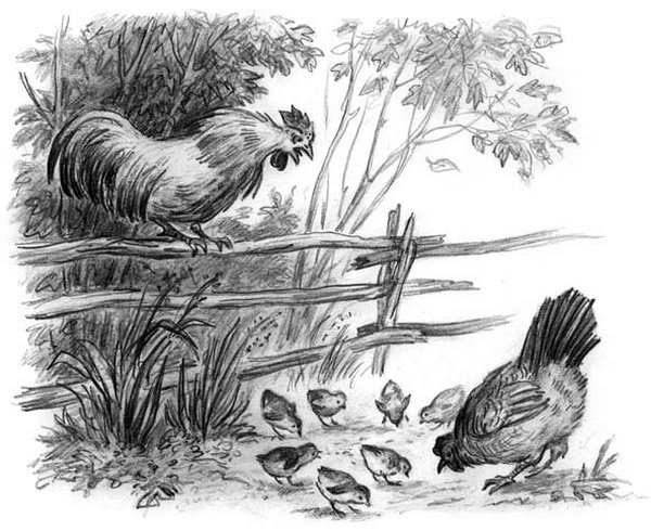 Рассказы и сказки(сборник) - i_041.jpg