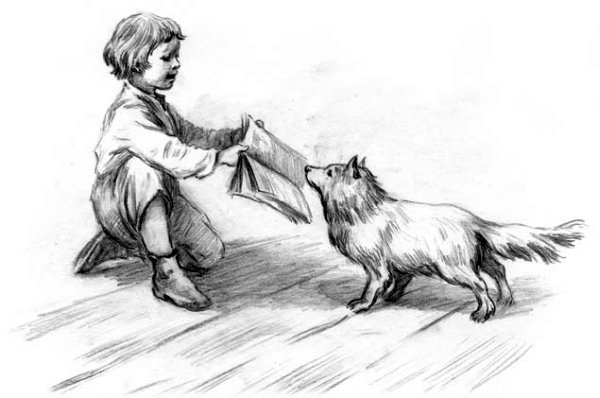 Рассказы и сказки(сборник) - i_042.jpg