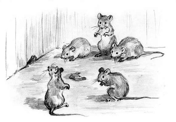 Рассказы и сказки(сборник) - i_043.jpg