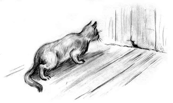 Рассказы и сказки(сборник) - i_044.jpg