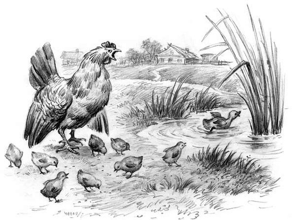 Рассказы и сказки(сборник) - i_046.jpg