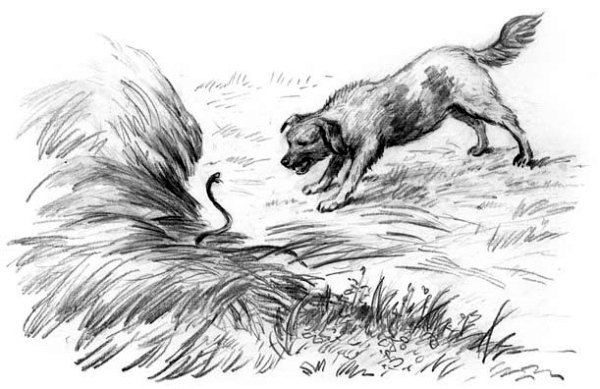 Рассказы и сказки(сборник) - i_047.jpg