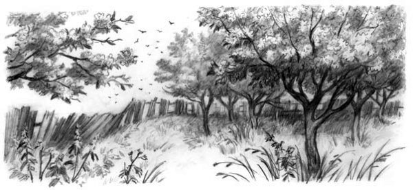 Рассказы и сказки(сборник) - i_052.jpg