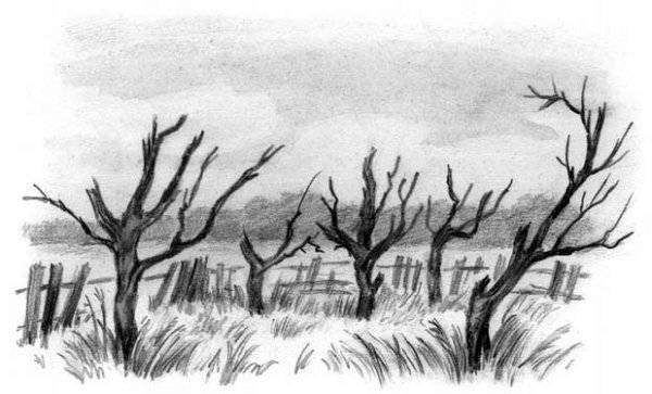 Рассказы и сказки(сборник) - i_053.jpg