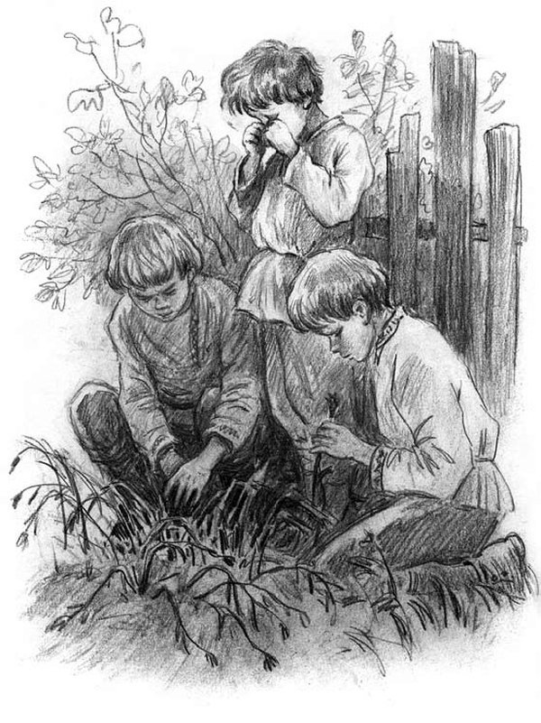 Рассказы и сказки(сборник) - i_054.jpg