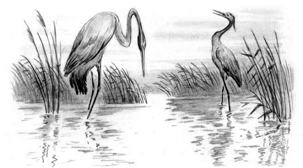 Рассказы и сказки(сборник) - i_060.jpg