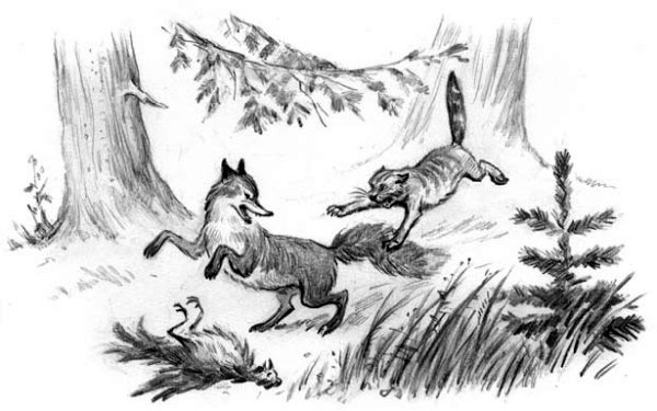 Рассказы и сказки(сборник) - i_066.jpg