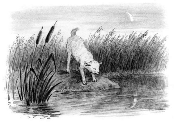 Рассказы и сказки(сборник) - i_071.jpg