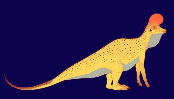 Все минувшие дни (ЛП) - _45.jpg