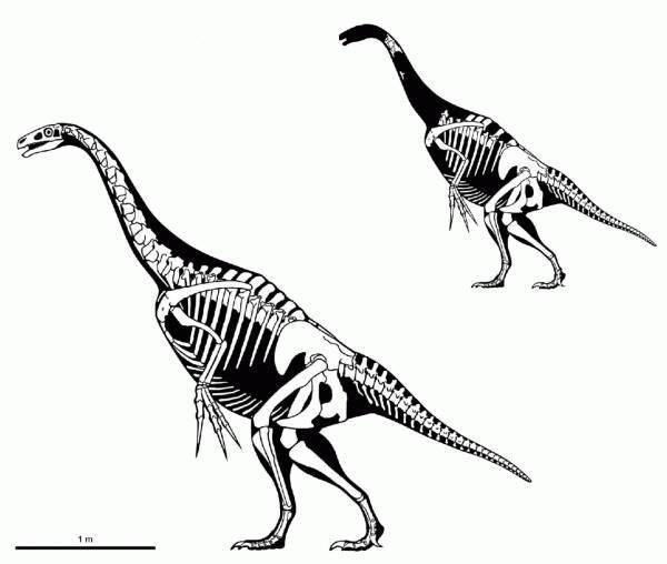 Все минувшие дни (ЛП) - _47.jpg