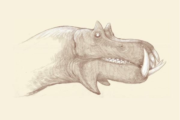 Все минувшие дни (ЛП) - _58.jpg