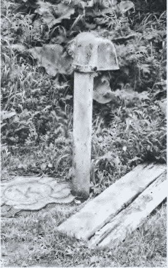 Повседневная жизнь русского путешественника в эпоху бездорожья - i_056.jpg