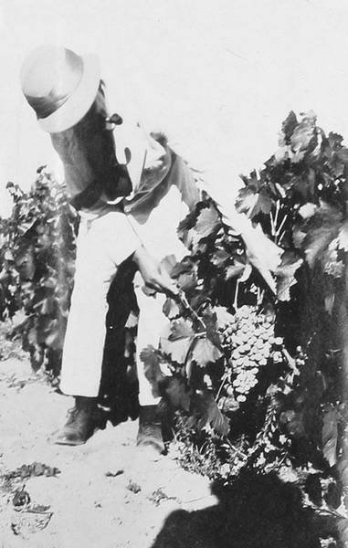 Большое путешествие - i_041.jpg