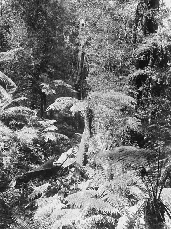 Большое путешествие - i_078.jpg