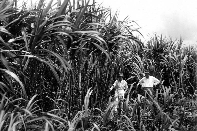 Большое путешествие - i_086.jpg