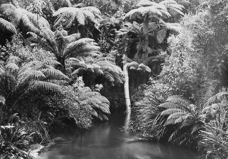 Большое путешествие - i_109.jpg