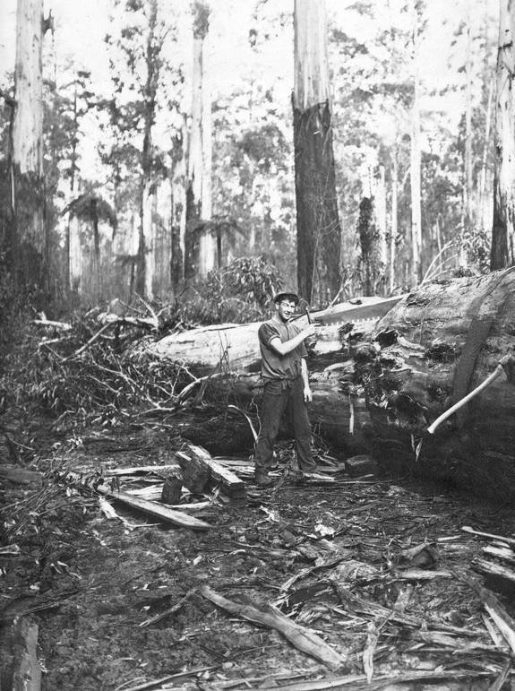 Большое путешествие - i_118.jpg