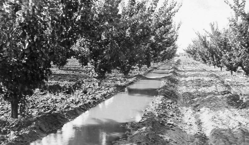 Большое путешествие - i_121.jpg