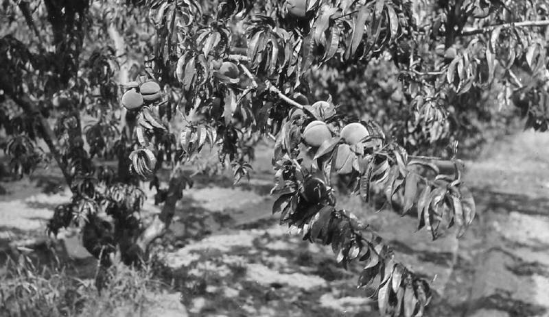 Большое путешествие - i_122.jpg