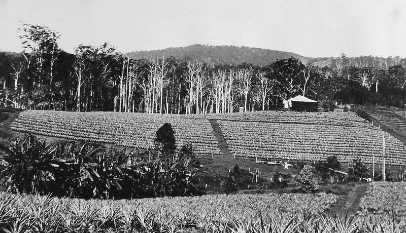 Большое путешествие - i_131.jpg