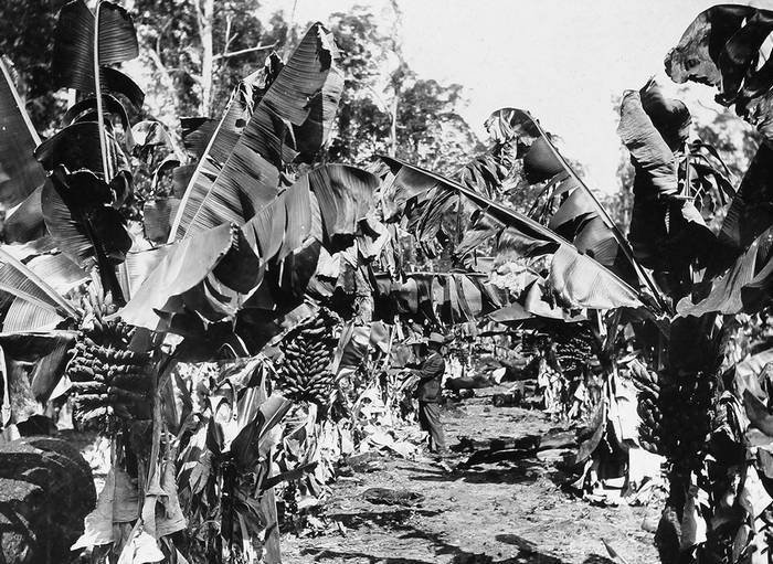 Большое путешествие - i_136.jpg