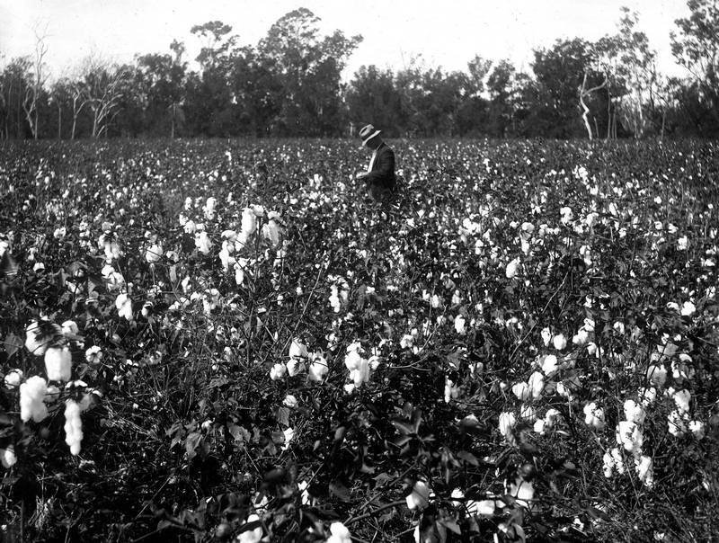 Большое путешествие - i_138.jpg