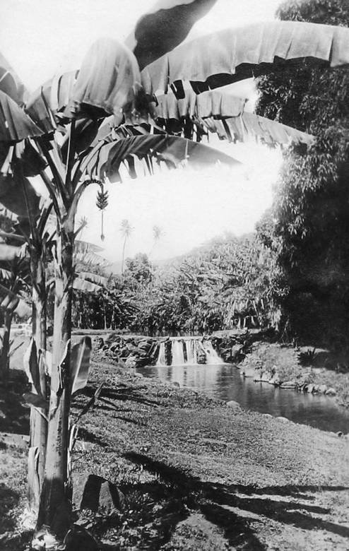 Большое путешествие - i_184.jpg