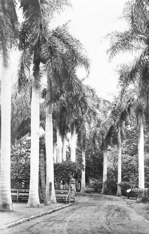 Большое путешествие - i_211.jpg