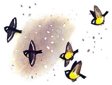 Первоклассники - i_025.jpg