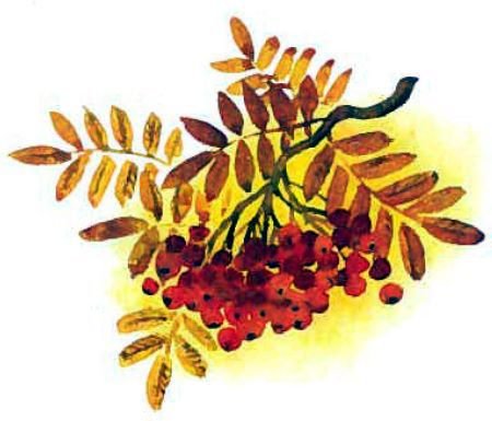 Первоклассники - i_032.jpg