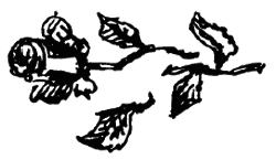 Чарівний талісман (збірник) - i_029.png