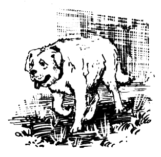 ВьЮжная Америка - i_027.png