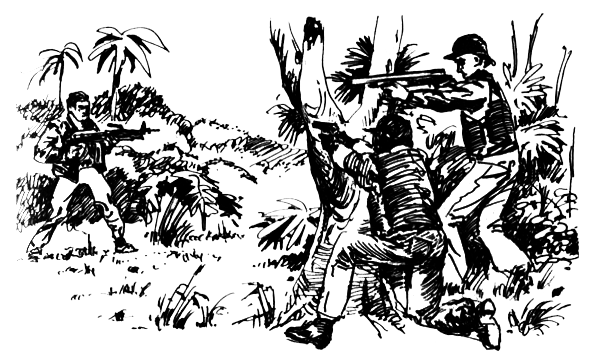 ВьЮжная Америка - i_030.png