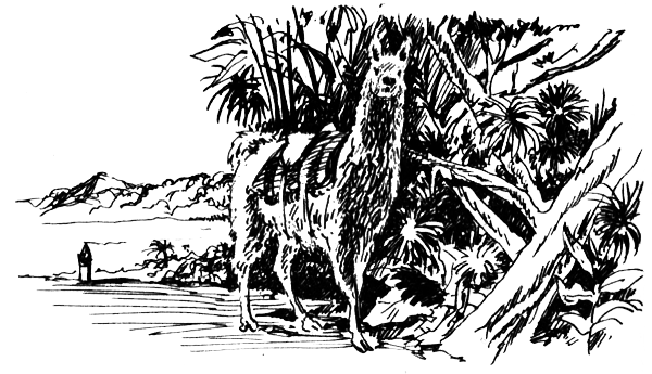 ВьЮжная Америка - i_032.png