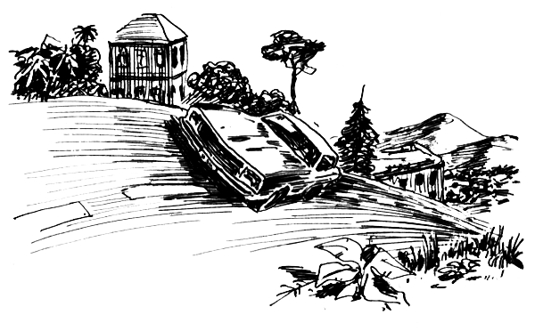 ВьЮжная Америка - i_036.png