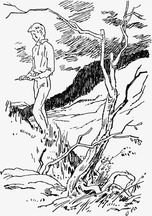 Брат Молчаливого Волка - img046.png