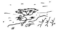 Мангушев и молния - i_013.jpg