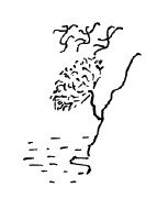 Мангушев и молния - i_064.jpg