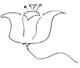 Мангушев и молния - i_070.jpg