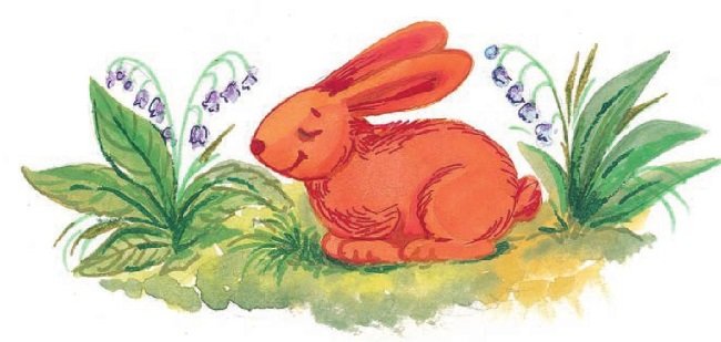 Современные писатели – детям. Сказки - i_038.jpg