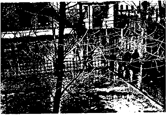 Краткая Воровская ЭНциклопедия - image7.png