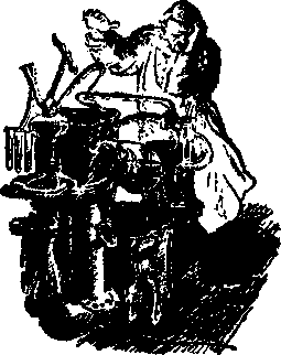 Великое делание, или Удивительная история доктора Меканикуса и его собаки Альмы - i_012.png